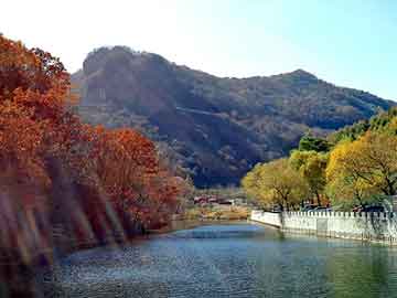 新澳天天开奖资料大全旅游团，宫心计 结局